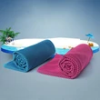 Kép 1/9 - Hűsítő Sporttörölköző